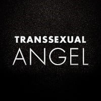 Transsexual Angel pornstar