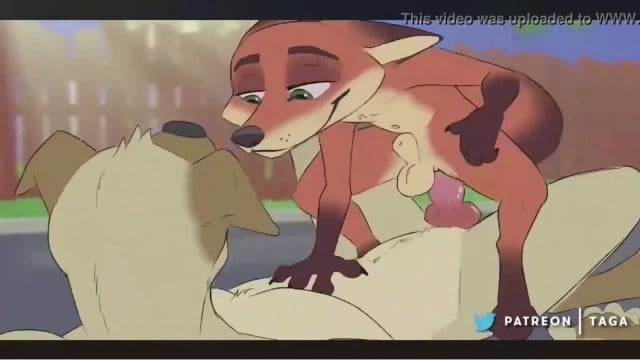 Furry Yiff Animation Compilation